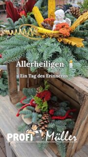 🕯Allerheiligen - Ein Tag des Erinnerns Manche Menschen bleiben uns auf besondere Weise nah - in unseren Gedanken, in schönen Erinnerungen und in kleinen Gesten, mit denen wir ihnen gedenken. 🤍 Ein liebevoll geschmücktes Grab kann eine dieser Gesten sein. In unserem Gartencenter erwartet euch eine vielfältige Auswahl an Grabgestecken und bepflanzten Schalen. Von natürlichen, dezenten Arrangements bis hin zu ausdrucksstarken Gestaltungen in warmen Herbstfarben - jedes Stück hat seinen Charakter. Ob für ein kleines Urnengrab oder eine größere Familiengrabstätte: Bei uns findet ihr traditionellen und modernen Grabschmuck, der Raum für persönliche Erinnerungen lässt. Schaut gerne vorbei und findet etwas Passendes, um euren Lieben auf eure ganz persönliche Weise zu gedenken. 🤍 📍 Profi Müller • Prüm-Dausfeld #profimüller #allerheiligen #grabgestaltung #gedenken #prüm